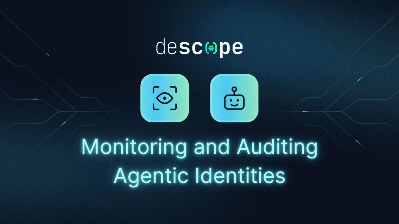 Auditing Agentic Identities