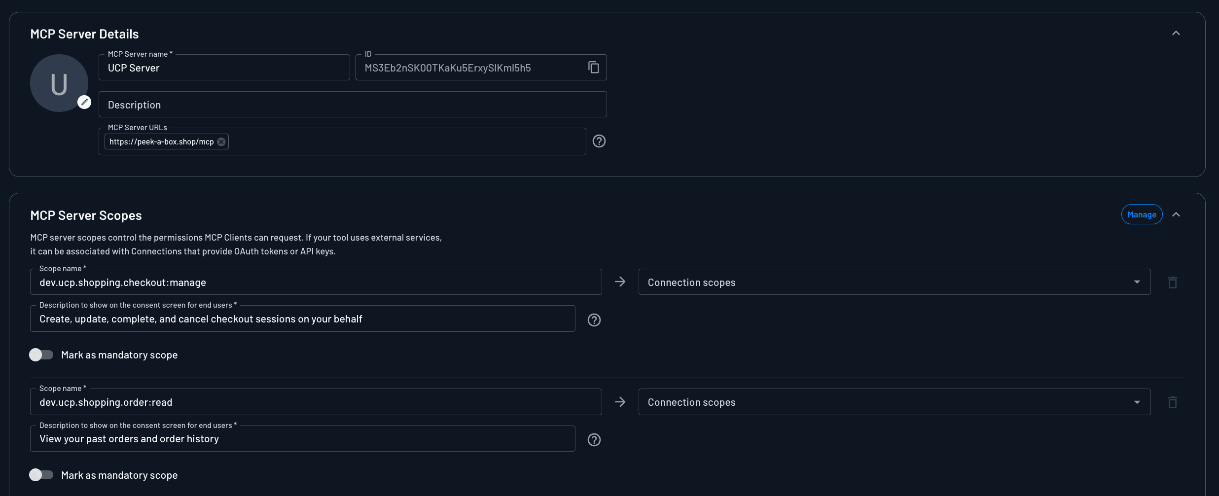 Fig: Setting up the MCP server configuration